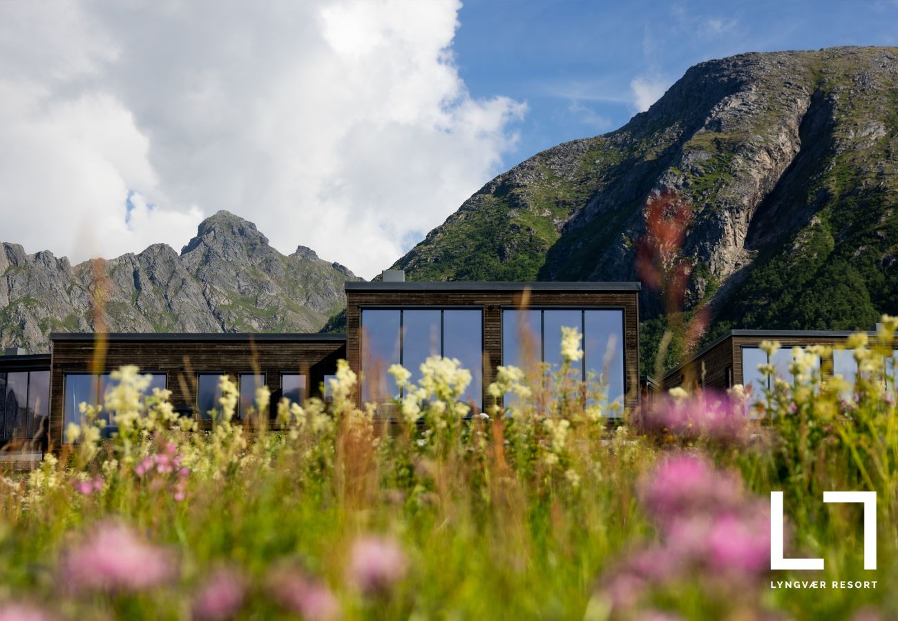 Cabin in Vågan - Lyngvær Lodge 11