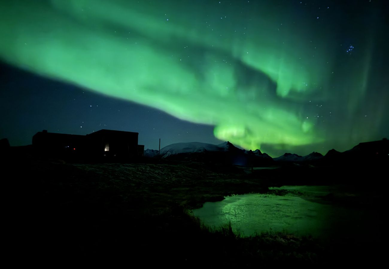 Cabin in Vågan - Lyngvær Lodge 8 Cabin in Vågan - Lyngvær Lodge 8