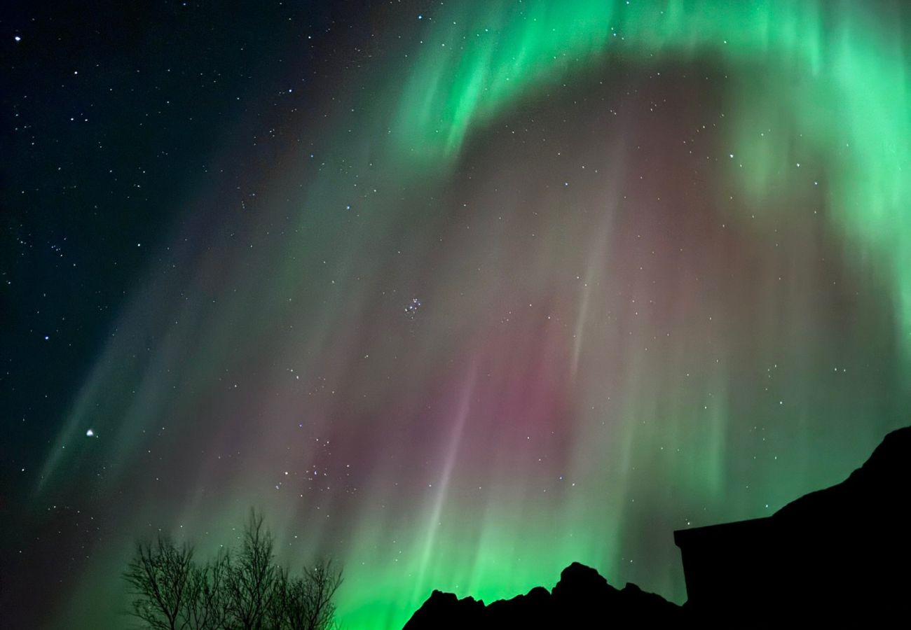 Cabin in Vågan - Lyngvær Lodge 9 Cabin in Vågan - Lyngvær Lodge 9