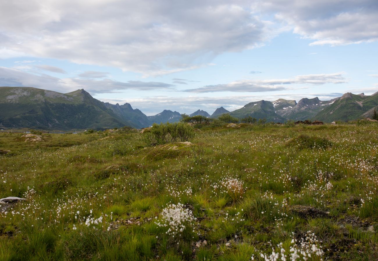 Cabin in Vågan - Lyngvær Lodge 37