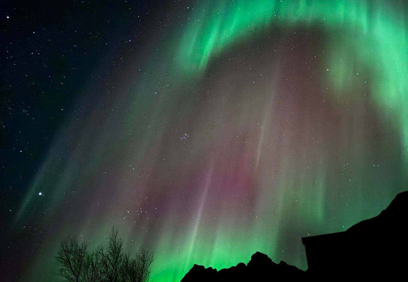 Cabin in Vågan - Lyngvær Lodge 37